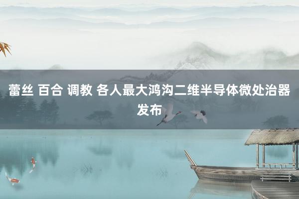 蕾丝 百合 调教 各人最大鸿沟二维半导体微处治器发布