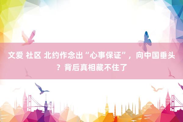 文爱 社区 北约作念出“心事保证”，向中国垂头？背后真相藏不住了