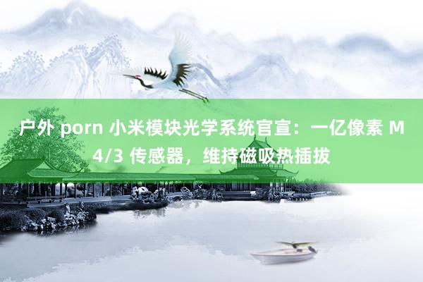 户外 porn 小米模块光学系统官宣：一亿像素 M4/3 传感器，维持磁吸热插拔